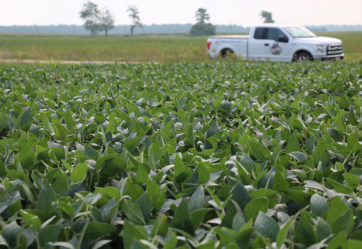 Does Growing a Food Grade Identity Preserved Soybean Variety in 2025 Make Sense for You?
