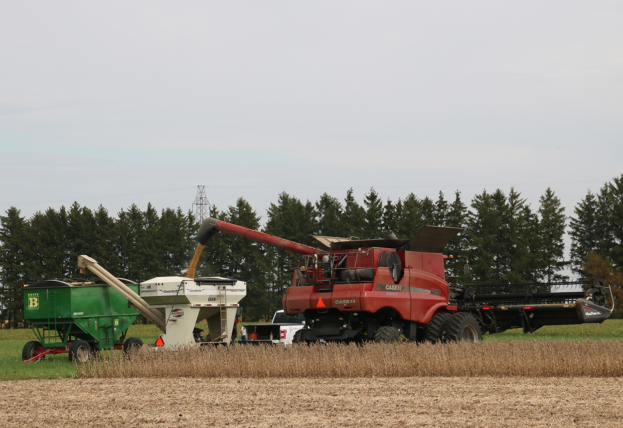 AGRIS wagon being filled with grain from combine